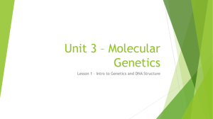 Unit 3 * Molecular Genetics