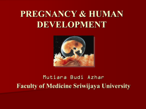 Theories of Human Development