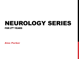 Neurology Session 1 – Cranial Nerves