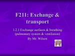 f211 exchange transport 1.2.1 exchange surfaces breathing