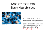 NSC 201/BCS 240 Basic Neurobiology