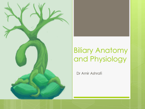 Biliary Anatomy and Physiology