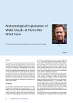 Meteorological Explanation of Wake Clouds at Horns Rev