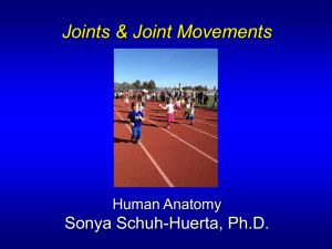 Ch9.Joints.Lecture_1