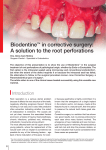 Biodentine™ in corrective surgery: A solution to the root perforations