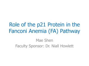Role of the p21 Protein in the Fanconi Anemia Pathway