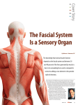 The Fascial System Is a Sensory Organ