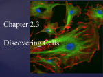 2.3 Cell Theory and Microscopy File