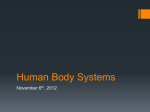 Human Body Systems