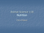 Agriculture 597 Advanced Animal Nutrition