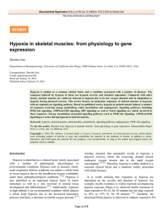 Hypoxia in skeletal muscles: from physiology to gene expression