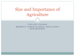 Size and Importance of Agriculture