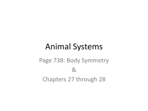 Animal Systems
