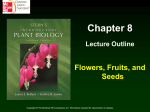 Botany Ch8 Flower Anatomy PPT