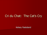 Cri du Chat: The Cat`s Cry