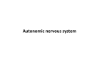 nervous system physiology 7