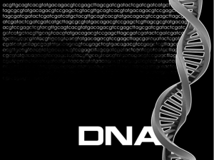 DNA PPT - McKinney ISD Staff Sites