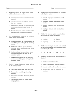 Human Body Test - Mrs. Ward`s Science Class