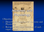 Honors Anatomy and Physiology
