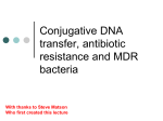 Conjugative DNA transfer, antibiotic resistance and MDR bacteria