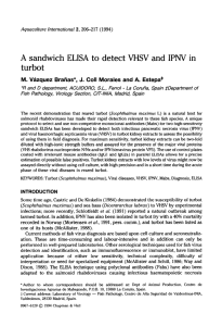 A sandwich ELISA to detect VHSV and IPNV in turbot | SpringerLink