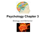 Psychology Chapter 3