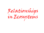 Relationships in Ecosystems-predators