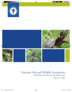 Bog Turtle Business Plan - National Fish and Wildlife Foundation