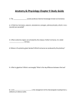 Chapter 9 Study Guide File