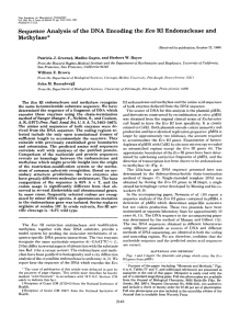 Sequence Analysis of the DNA Encoding the Eco RI Endonuclease