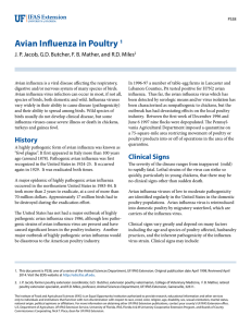 Avian Influenza in Poultry - EDIS