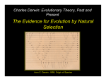 The Evidence for Evolution by Natural Selection