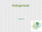 Histogenesis