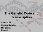 The Genetic Code and Transcription Chapter 12 Honors Genetics