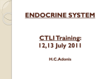 Endocrine System - WCED: Curriculum Development