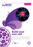 Build your own cell