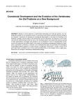Craniofacial Development and the Evolution of the Vertebrates: the