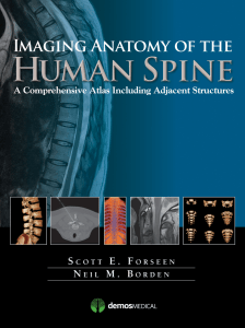 Imaging Anatomy of the Human Spine: A Comprehensive Atlas