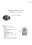 Biochemistry of saliva and tooth tissues