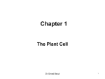 plant phys 09 lectures