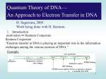 Quantumn Theory of DNA—Approach