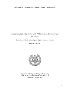 Engineering Cytosolic Acetyl-CoA Metabolism in