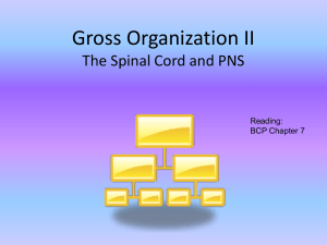 Gross Organization II