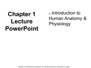 1.3: Levels of Organization Systems