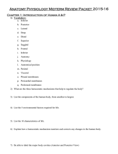 Anatomy Physiology Midterm Review Packet 2015