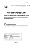 pathology specimens - Doncaster and Bassetlaw Hospitals