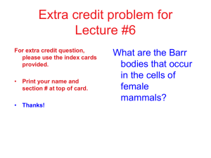 SexChromosomes - life.illinois.edu