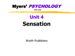 Unit_4_sensation