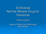 Echinacea Not the Miracle Drug for Tomorrow