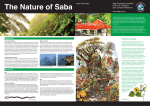 Saba Brochure History.indd - Naar Nationale Parken van